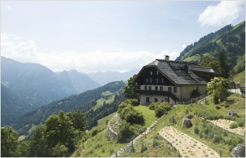 Dans un jardin d’alpage du Pays-d’Enhaut