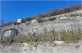 Le plan d’affectation cantonal Lavaux entre les mains du Grand Conseil