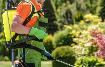 L’Etat de Vaud présente un état des lieux complet de l’utilisation du glyphosate dans le canton