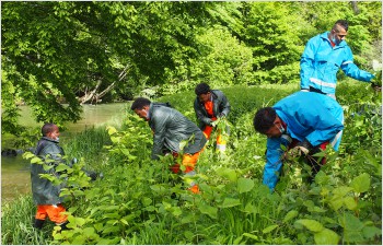 Quand la sauvegarde de la nature réunit les humains