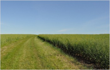 Le Conseil d’Etat soutient l’initiative populaire «Pour la protection du climat»