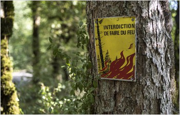 L’État de Vaud interdit les feux en forêt
