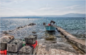 En 2021, le Léman a fourni moins de poissons