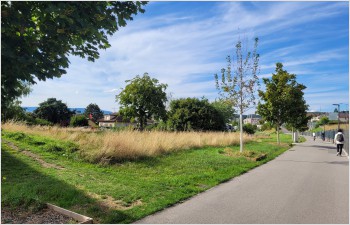 Vingt-et-un logements abordables sur une parcelle de l’État