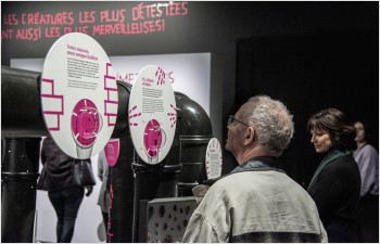 Près de 700’000 visites dans les musées cantonaux en 2023