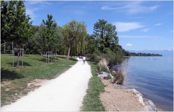 Un projet pilote pour renaturer les rives du Léman