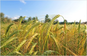 20 millions pour le Fonds d’investissement rural