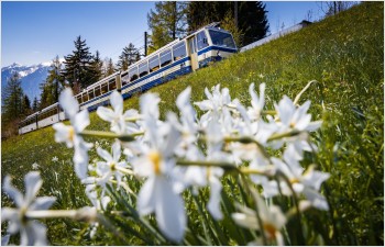 62.1 millions pour les lignes ferroviaires touristiques
