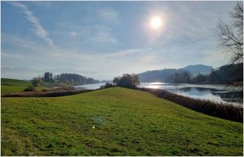 Classer la rive nord du lac de Bret pour protéger ses milieux naturels
