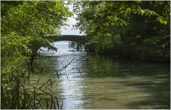 Le Canton de Vaud renforce sa stratégie en faveur de la qualité des eaux