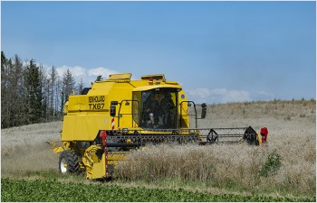 Une table ronde pour mieux préparer l’avenir et soutenir l’agriculture vaudoise