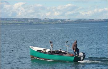 Les captures de féra à nouveau en baisse dans le Léman