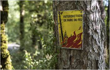 La sécheresse entraîne une interdiction des feux en forêt
