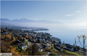 Vevey