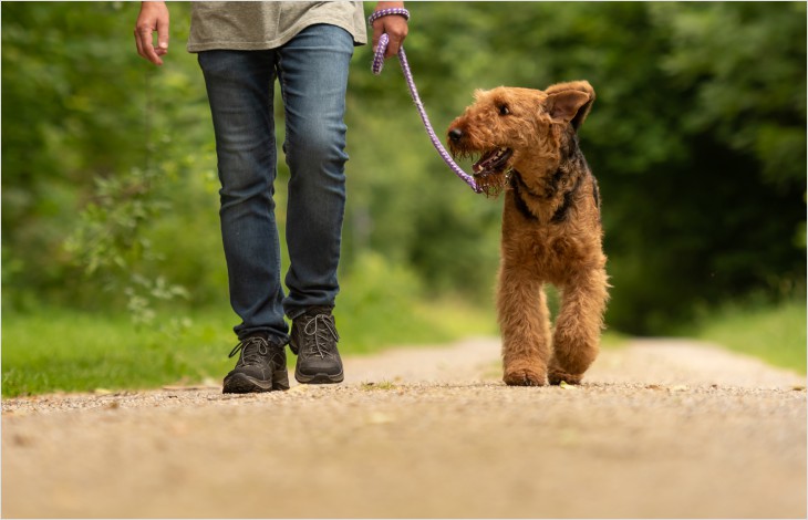 L’Etat rappelle les bons comportements à  adopter dans les espaces naturels