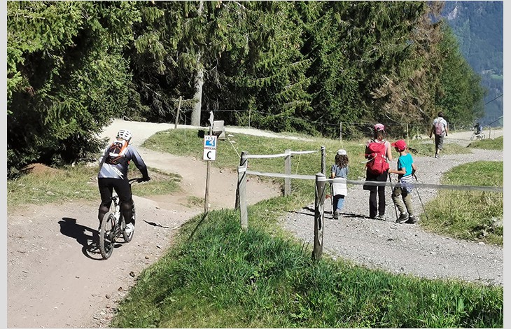 Des activités bien balisées