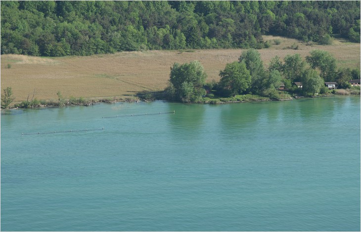 Cyanobactéries dans les lacs: information et prévention