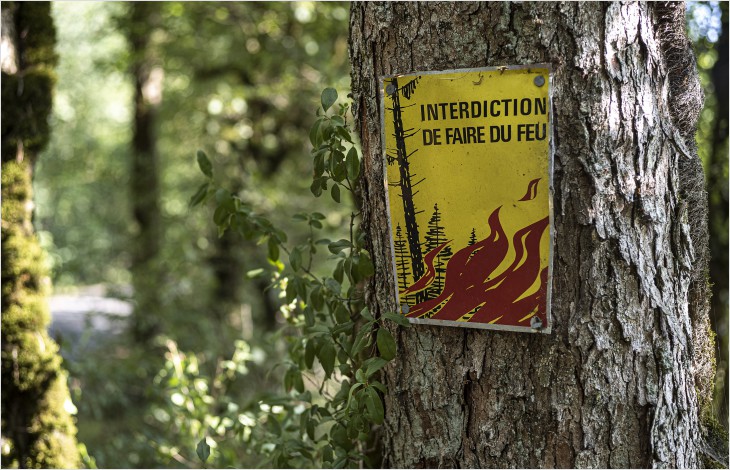 L’État de Vaud interdit les feux en forêt