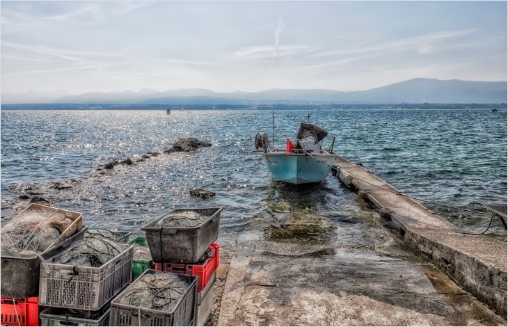 En 2021, le Léman a fourni moins de poissons