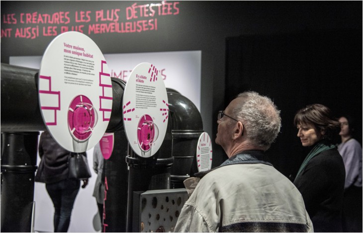 Près de 700’000 visites dans les musées cantonaux en 2023