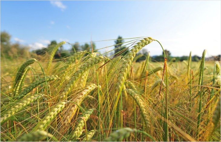 20 millions pour le Fonds d’investissement rural
