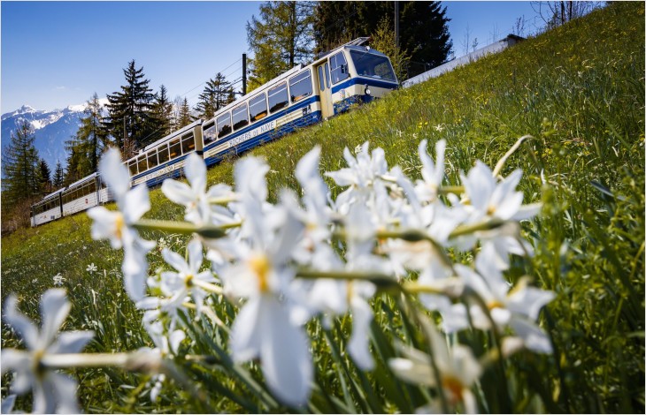 62.1 millions pour les lignes ferroviaires touristiques