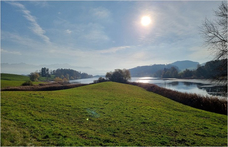 Classer la rive nord du lac de Bret pour protéger ses milieux naturels