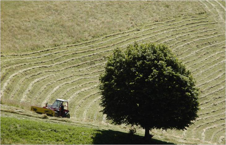 La biodiversité en actes