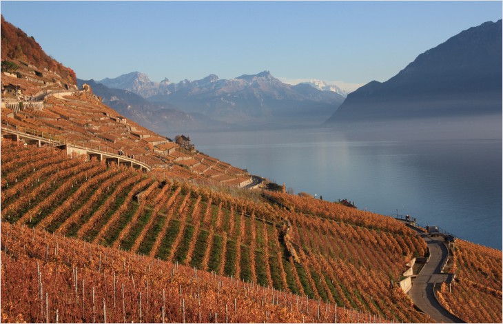 Maintien de l’inscription du site de Lavaux au Patrimoine mondial de l’UNESCO